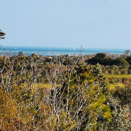 Bosco Della Ferrovia Serranova
